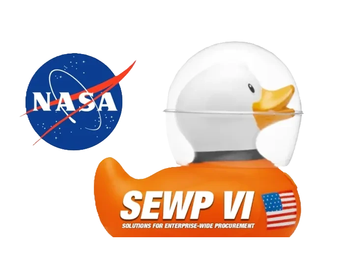 NASA SEWP VI