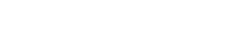 NetRise